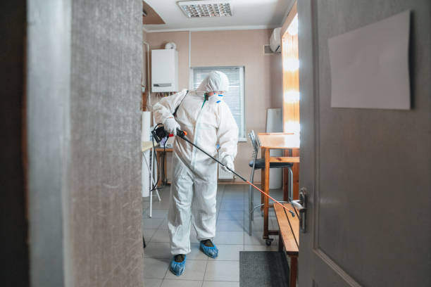 Best HVAC Mold Inspection and Cleaning  in Prescott Valley, AZ
