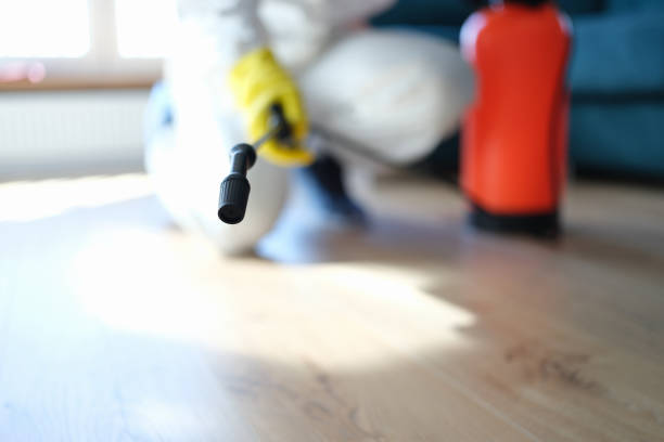 Best Environmental Consulting for Mold Prevention  in Prescott Valley, AZ