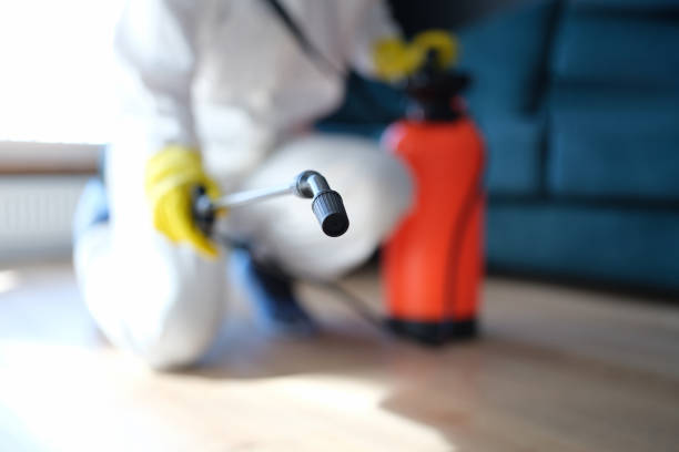Best Mold Documentation for Insurance Claims  in Prescott Valley, AZ