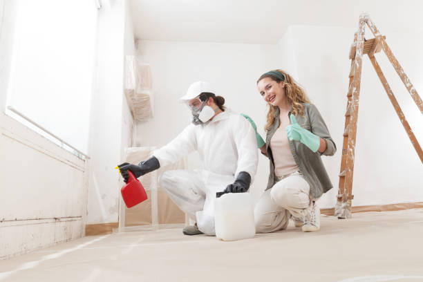 Prescott Valley, AZ Mold Removal Company