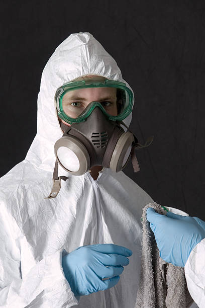  Prescott Valley, AZ Mold Removal Pros